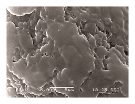 SEM Graphs Of PP Powders Prepared On Different Conditions A B