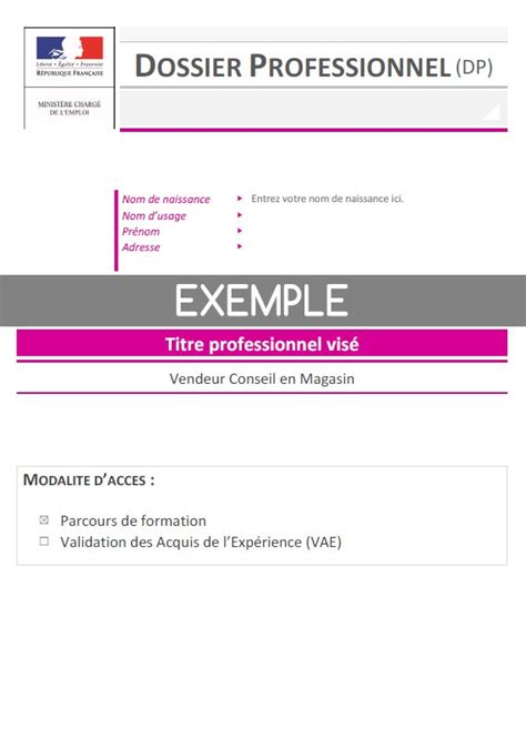 Dossier Professionnel Vendeur Conseil En Magasin Ideadvice