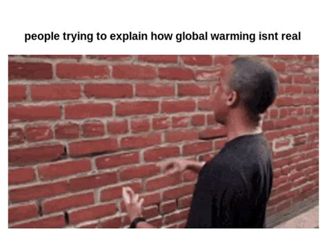 Talking To Wall Animated  Maker Piñata Farms The Best Meme
