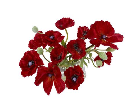 Bloom Red Poppy Arrangement Artificial Silk Flowers Glass Vase Home ...