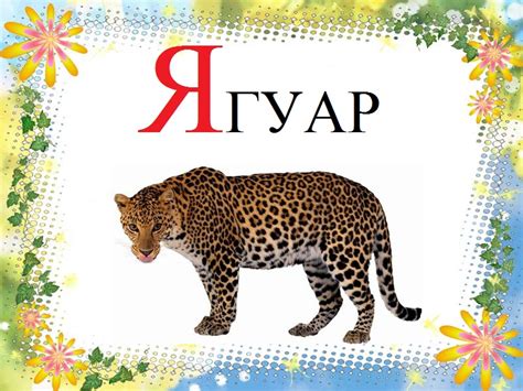 Картинки про букву Я детям — учим русский алфавит