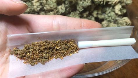 Pode Fumar Maconha Tomando Antibiotico Librain