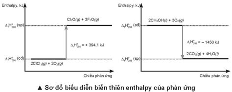 Sách bài tập Hoá học 10 Bài 13 Chân trời sáng tạo Enthalpy tạo thành