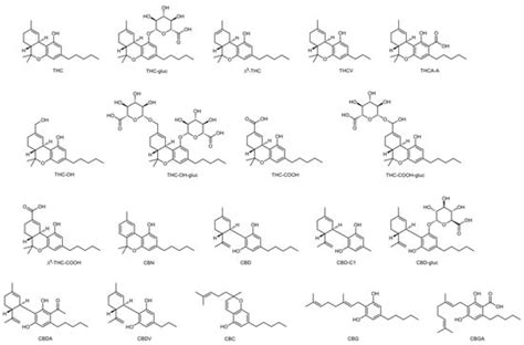 Ijerph Free Full Text Analysis Of Cannabinoids In Biological