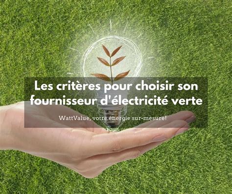 Les Crit Res Consid Rer Pour Choisir Son Fournisseur D Lectricit Verte