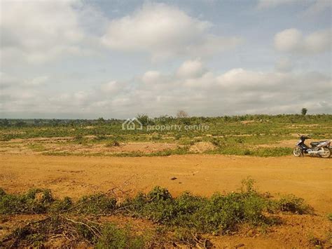 For Sale Hectares Farm Land Directly Facing The Major Road Is