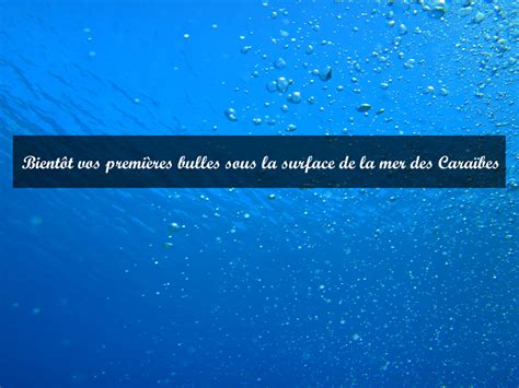 Comment se passe un baptême de plongée dans la réserve Cousteau