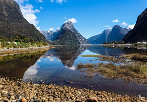 Our Epic Milford Sound Cruise And Kayak Experience Grab A Mile