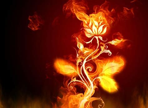 Free Animated Fire Wallpapers - Top Free Free Animated Fire Backgrounds ...