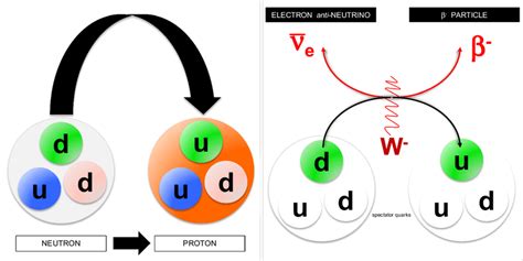 Left The Metamorphosis Of Quarks Here One D Quark Into A U Quark