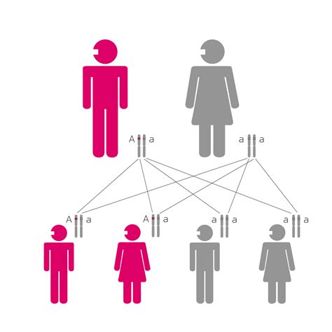 Autosomal Dominant Inheritance Health In Code