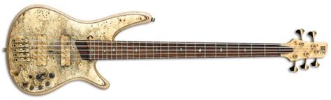 Ibanez Unveils Limited Edition Buckeye Burl Sr Premium Bass No Treble