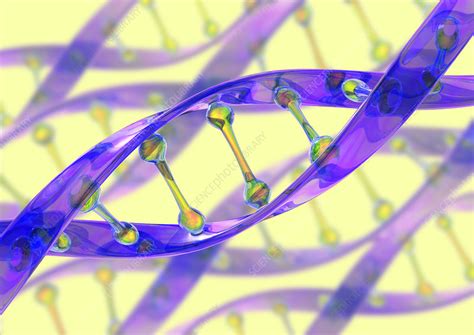 DNA Molecule Stock Image G110 0770 Science Photo Library