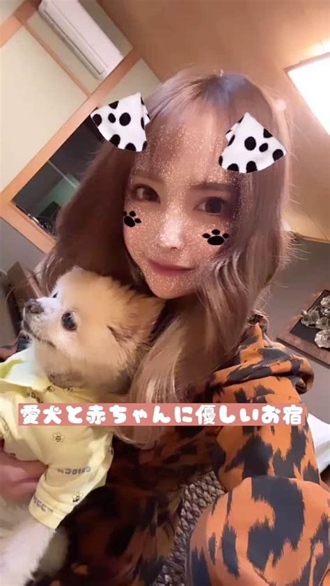 サキ吉さんのインスタグラム動画 サキ吉instagram「家族旅行👨‍👩‍👦で夢吉🐶綱吉🐶も一緒に 伊豆高原のウブドの森へ🌳🍃 Ubudnomori ． 愛犬にも赤ちゃんにも