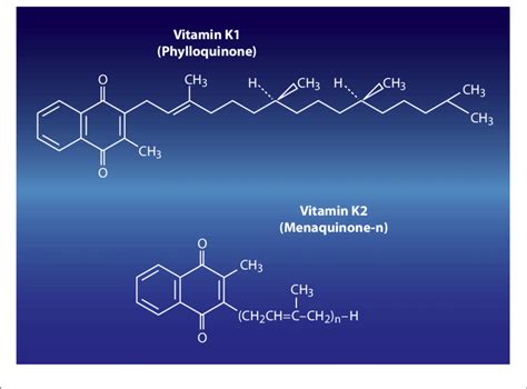 Structures Of Vitamin K Phylloquinone And Vitamin K Menaquinones