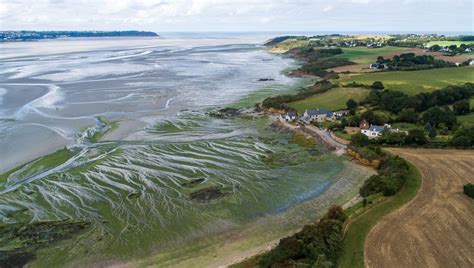 Algues vertes en Bretagne des nouveaux capteurs vont être installés