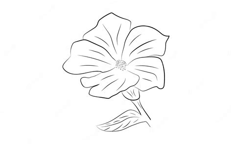 Premium Vector | Free vector beautiful hand drawing and sketch of a ...
