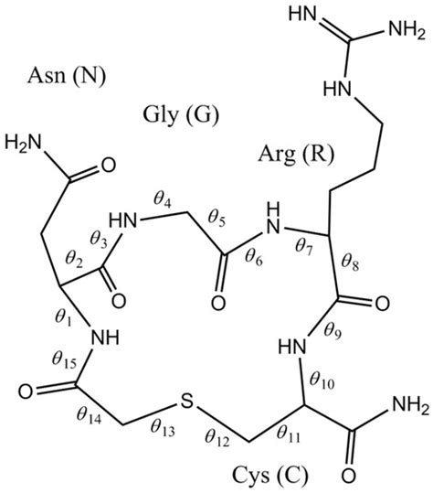 Molecules Special Issue Cyclic Peptides