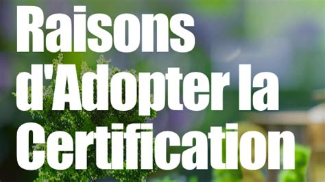 Bonnes Raisons D Adopter La Certification Well