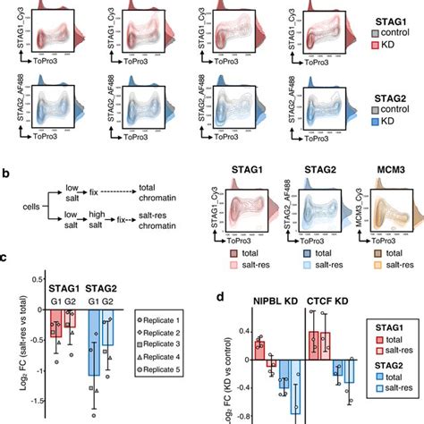 Effect Of Cohesin Regulators On The Response Of Cohesin Variants To