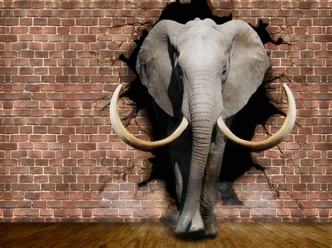 Elephant Coming Out Of The Walls Wallpapers For Walls D Illustration