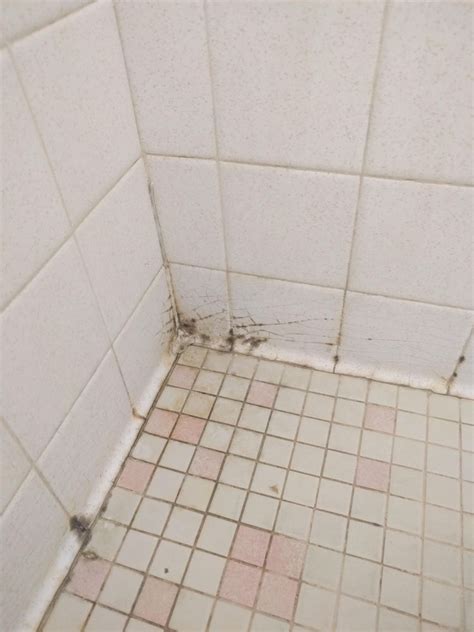 Signs Of Bathroom Water Damage