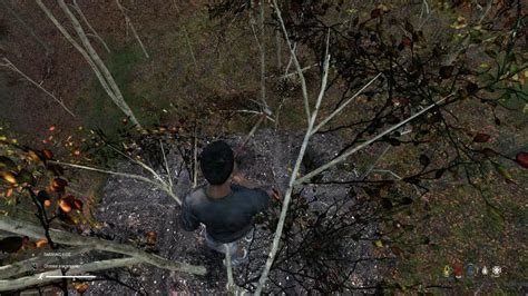 My New Passion In Dayz Is Climbing Trees Youtube