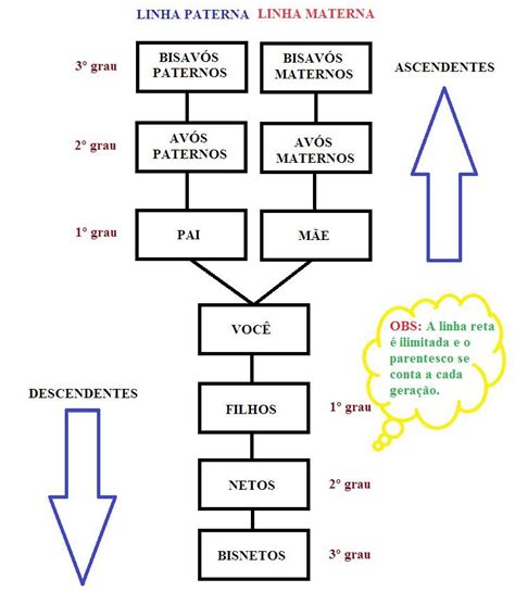 Monte Sua árvore Genealógica E Saiba Tudo Sobre Relações De Parentesco