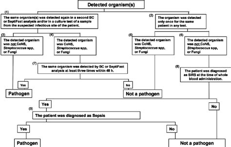 Unknown Bacteria Flow Chart Gram Negative Bacterial Identification Chart Asana Flow Chart Atlas