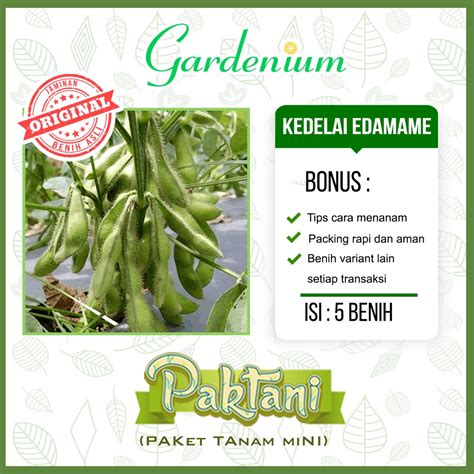 Jual 5 Benih Kedelai Edamame Kacang Jepang Unggul Paktani Shopee