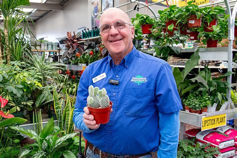 Hard To Kill Houseplants Reno Sparks Lake Tahoe Moana Nursery