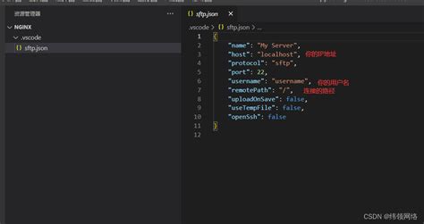 Vscode 远程连接配置sftpvscode Sftp Csdn博客