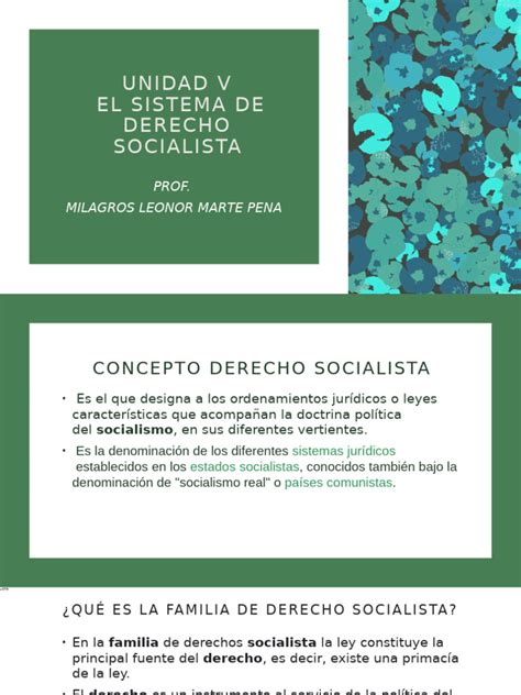 Unidad V El Sistema De Derecho Socialista Pdf