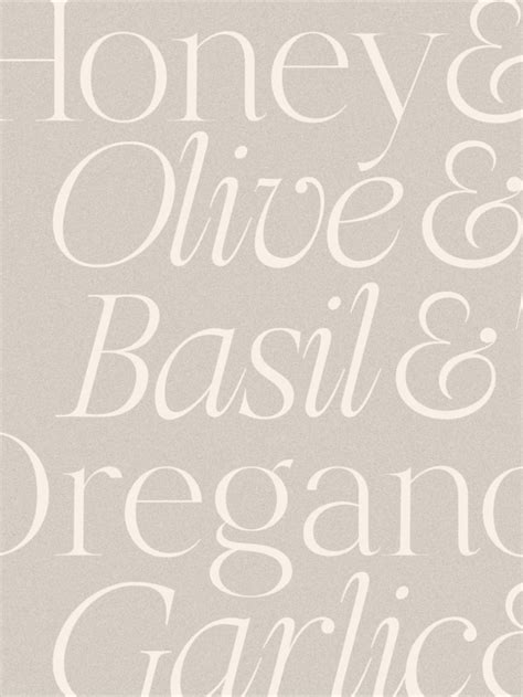 Olive Figs Regal Classic Serif Harmonais Visual