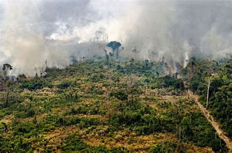 Photos The Burning Amazon Rainforest The Atlantic