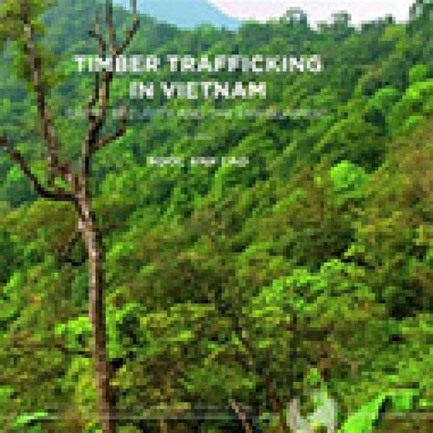 Understanding Sex For Sale Meanings And Moralities Of Sexual Commerce Criminal Law And