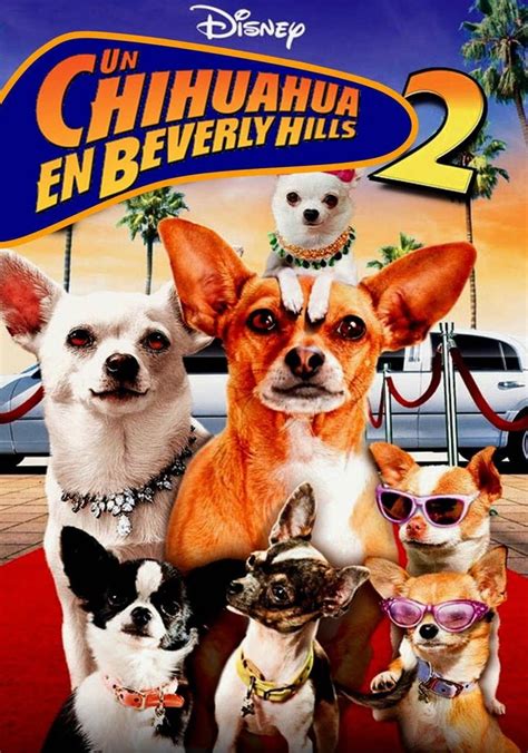 Un Chihuahua En Beverly Hills Pel Cula Ver Online