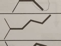 Exam 1: Alkyl Nomenclature | Quizlet