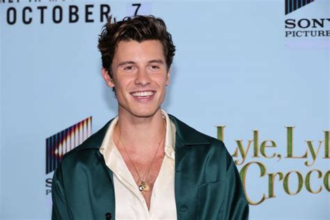 Shawn Mendes fica só de cueca para mergulhar em água congelante