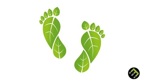 How to Reduce Your Carbon Footprint as a Team - EcoMatcher