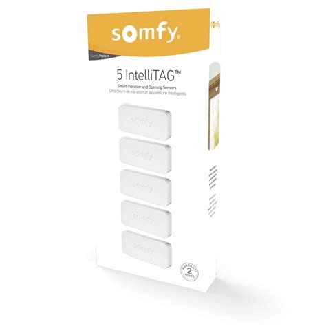 Lote De 5 Intellitag Somfy Protect Somfy