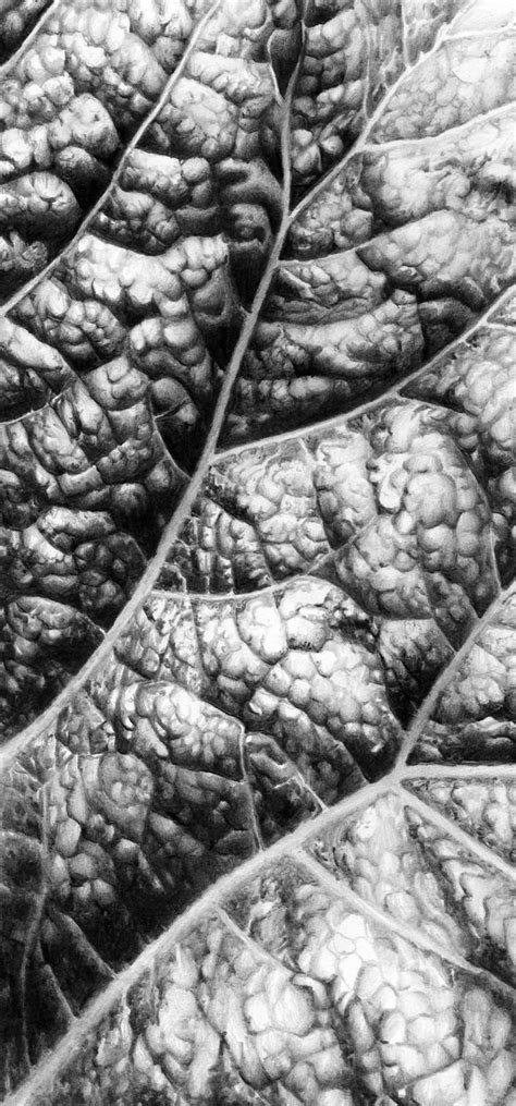 Leaf surface Drawing by Cath Riley | Saatchi Art in 2024 | Texture ...