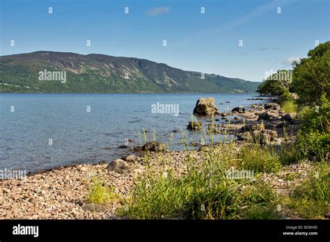 Loch Ness Scotland Shore Line In Early Summer Looking North Towards