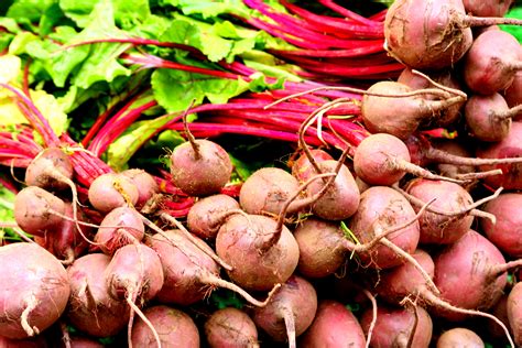 How to Care for Turnips | Garden Guides