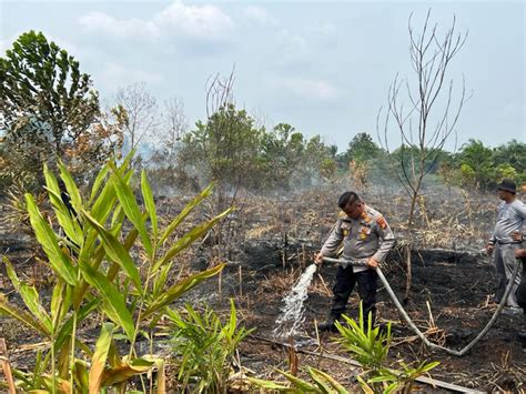 Puluhan Hotspot Karhutla Kembali Terdeteksi Di Sumatera Sumbar 39 Titik