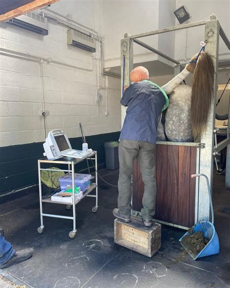 Mobile Diagnostic Imaging The Barn Equine Surgery