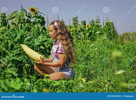 Garçonete Trabalhando Na Fazenda Cultivando Comida Orgânica Imagem de