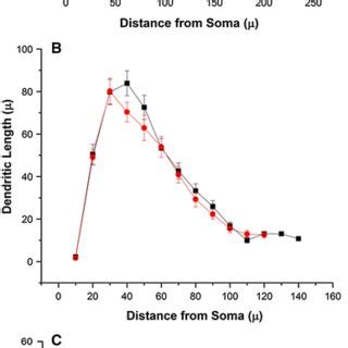 Sholl Analysis Of Apical And Basal Dendrites In And Weeks