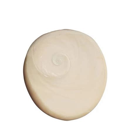 Shell White Raja Gomati Chakra Big Size For Healing At Rs 900 Piece In