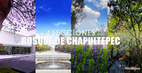 Las 4 Secciones Del Bosque De Chapultepec ¿qué Hacer Y Cómo Llegar